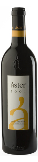 Астер 2004